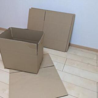 ダンボール ほしい方！