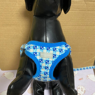 犬のハーネスの画像