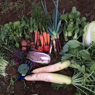 有機栽培を学びたい方! - つくば市