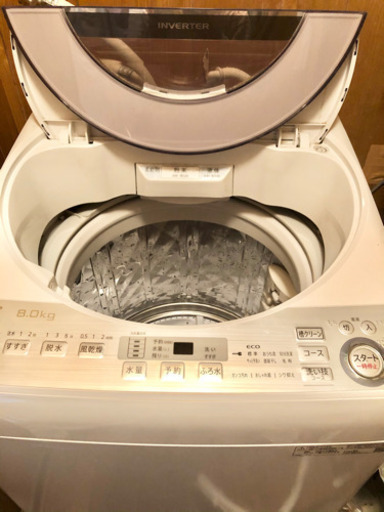 2019年製　全自動洗濯機　8.0kg 