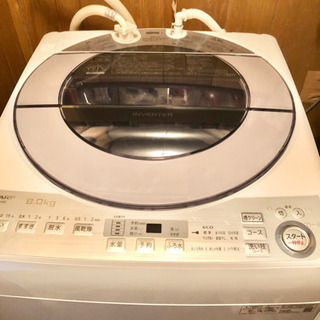2019年製　全自動洗濯機　8.0kg 