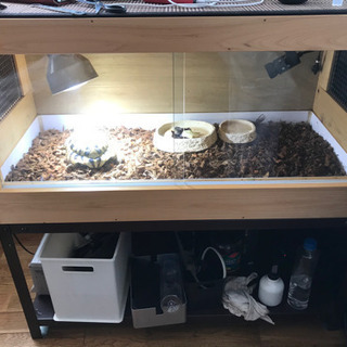 木製美品リクガメゲージ90×45×45照明フルセット