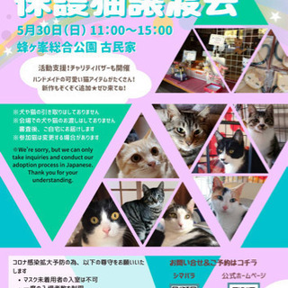 ⚠️⚠️開催中止⚠️⚠️第１６回保護猫譲渡会in山口県