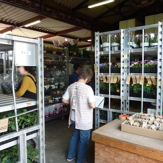 アルバイト募集中！　お花の値札貼り　お花の仕分け作業！　綺麗なお花に囲まれて一緒にお仕事しませんか？の画像
