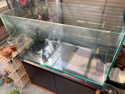 90センチ水槽