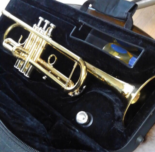 トランペット Mavis MTR-100GL