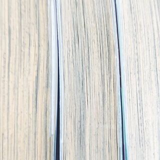 〈急募〉村長さん「１～３」巻の画像