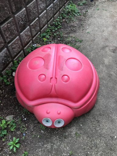 てんとう虫　砂場