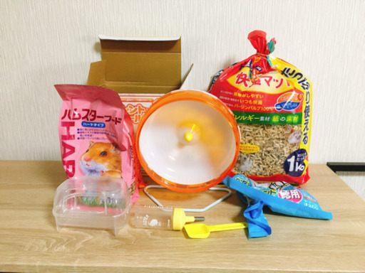ハムスター 飼育セット