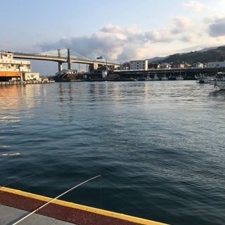 これから釣り行きませんか？