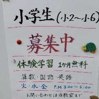 Tomo塾 (少人数個別指導塾)　新年度～　小学生少数募集・新中１生・好評締切 新中２生・残１名(締切間近)・新中３生 締切間近　(Tomo塾・京都・三室戸徒歩10分)の画像