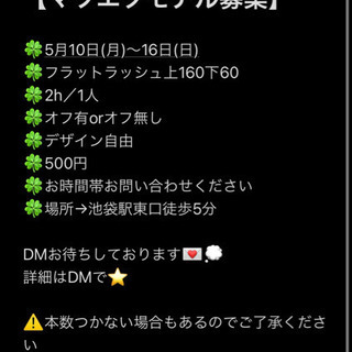 フラットラッシュモデル