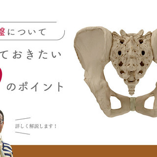 【12/10】内田かつのり｜ヨガ解剖学セラピー［ 骨盤 ｜基礎編］｜オンラインの画像