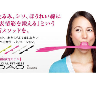 フェイシャルフィットネス　パオ　スリーモデルの画像