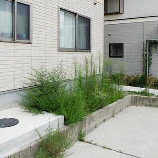 【30分1500円！】草むしり（45Lのゴミ袋使用）@野田市花井...