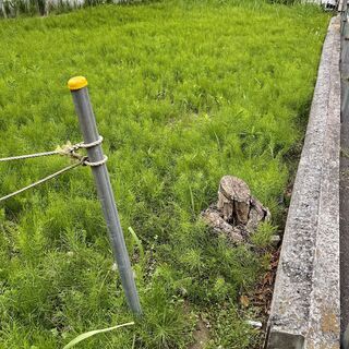 【30分1500円！】草むしり（45Lのゴミ袋使用）@野田市花井_案件id13232の画像