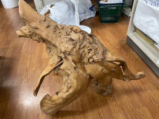 巨大流木　約60cm