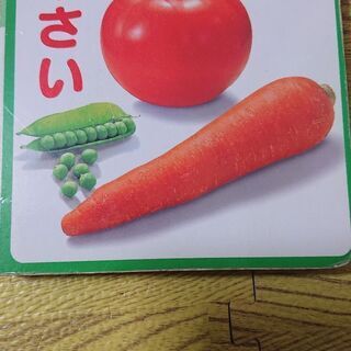 お野菜の絵本