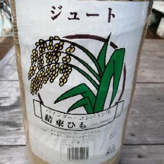 麻紐