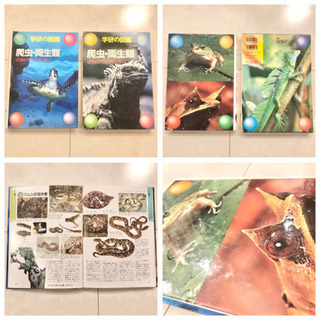 【ネット決済・配送】#2 学研の図鑑　爬虫両生類　レトロ　ビンテージ　コレクション　小学館の学習百貨の画像