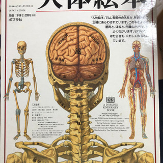 人体絵本の画像