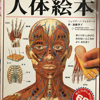 人体絵本