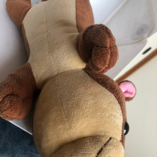 カワウソ？ ぬいぐるみの画像