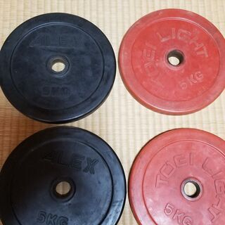 ダンベルプレート10枚　トレーニング器具の画像