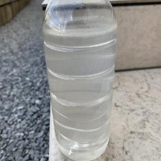ゾウリムシ500ml