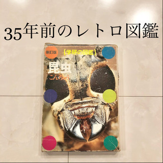 15 小学館の学習百貨図鑑 昆虫の図鑑 レトロ ビンテージ