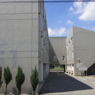 1日限定の軽作業　数時間で終了　1万円　本とプラスチック鉢などを...