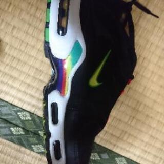 [直接取引限定]ナイキ AIR MAX + EOIの画像