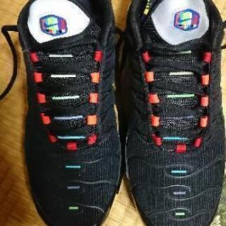 [直接取引限定]ナイキ AIR MAX + EOI