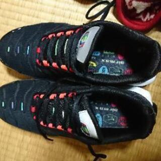 [直接取引限定]ナイキ AIR MAX + EOIの画像