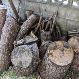 無料　薪等にいかがですか?（松の木）