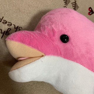 品川水族館☆くじ二等のピンクイルカ♪