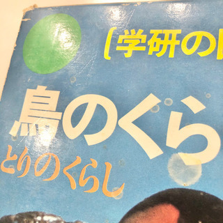 【ネット決済・配送】#8 学研の図鑑　鳥のくらし　レトロ　ビンテージ　コレクション　小学館学習百貨の画像
