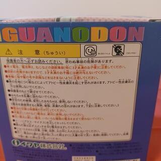 くるくるイグアナドンの画像