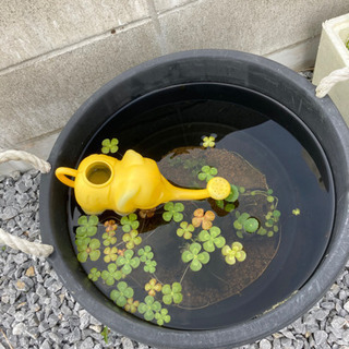 値段交渉受け付けます。ビオトープ