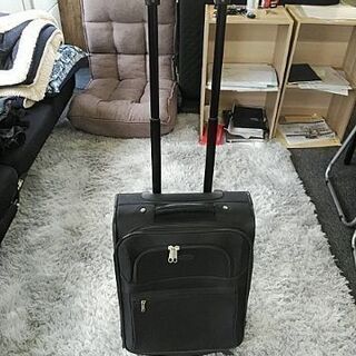 旅のお供に！キャリーバック（中）