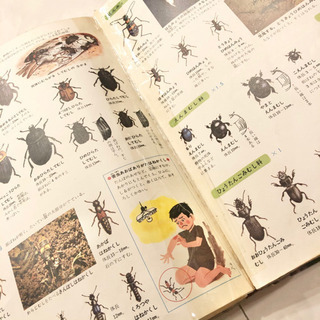 【ネット決済・配送】#15　小学館の学習百貨図鑑　昆虫の図鑑　レトロ　ビンテージ　コレクション　学研の画像