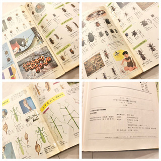 15 小学館の学習百貨図鑑 昆虫の図鑑 レトロ ビンテージ