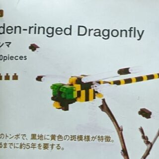 ナノブロック　オニヤンマの画像