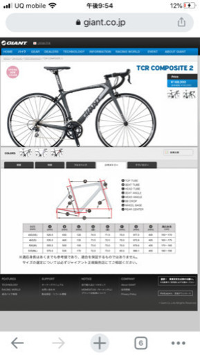 超美品　ジャイアントGiant フルカーボン ロードバイク　TCR S(465)