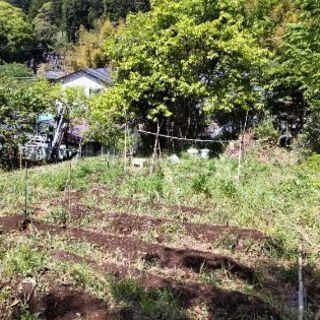 三島市玉沢の土地売ります。園芸や畑に最適です。 - 土地販売/土地売買
