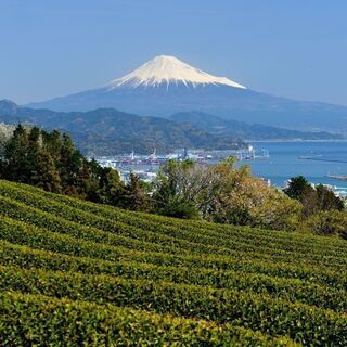 お気軽登山（中部中心）♪　山友募集