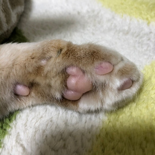 お知らせです！
