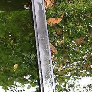 マツモやアナカリス等の水草の画像