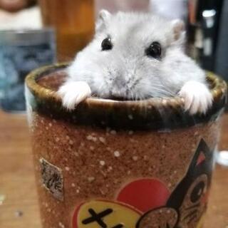 友達になってください☺️🙏💕