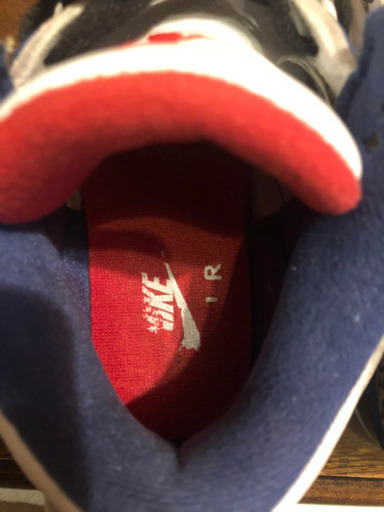 Air jordan3 true blue 